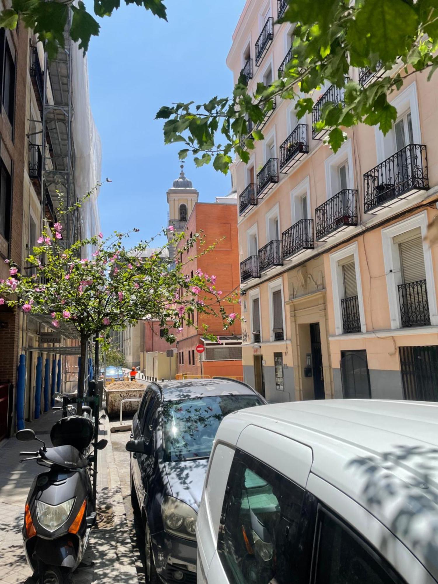 דירות מדריד San Buenaventura Vistillas Apartamento Para Dos מראה חיצוני תמונה